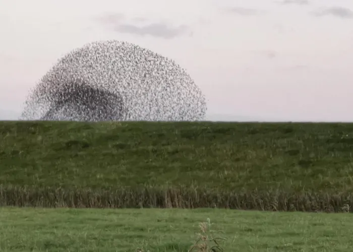 Gaestehaus Hemmerdeich-alte Schule Feriehus Oldenswort